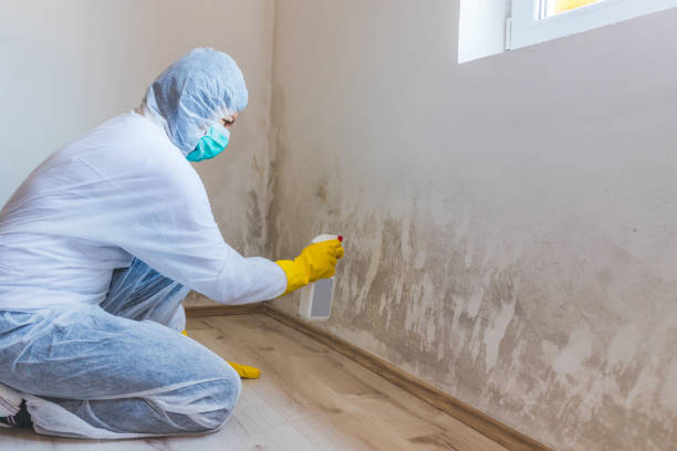Mold Remediation specialist working in Deal