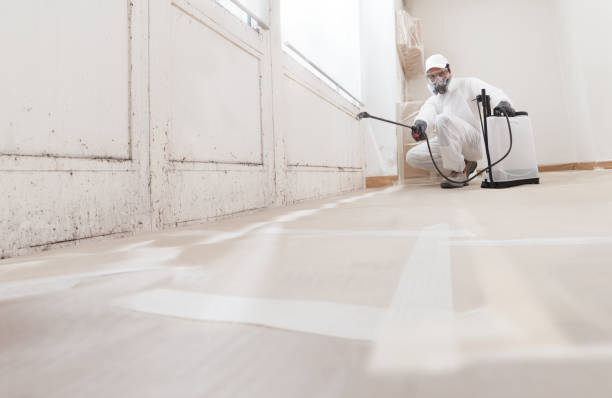 Black mold remediation team in Deal
